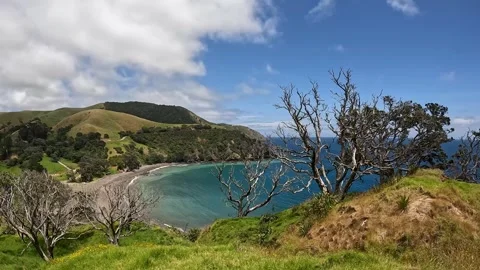 Fletcher Bay and its Rolling Hills along the remote Coromandel Coastal Walk.. Stock Footage 284882373