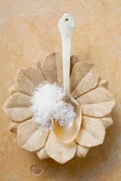 Fleur de sel in spoon in flower-shaped dish Stock Photos