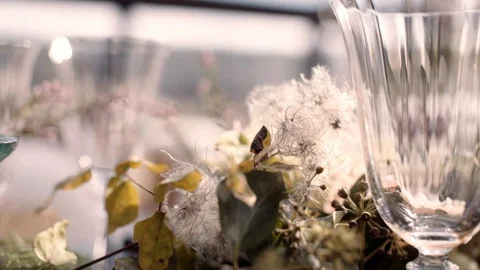 Fleurs sur une table de mariage Stockbeeldmateriaal 100544581