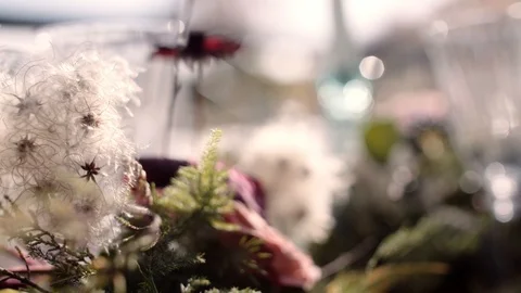 Fleurs sur une table de mariage Stockbeeldmateriaal 100544586