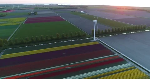 Flevopolder 库存影片 149196625