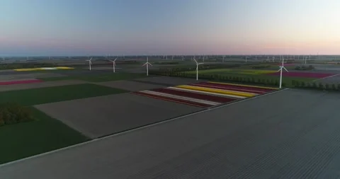 Flevopolder Stock Footage 149196686