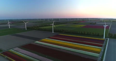 Flevopolder 库存影片 149196738