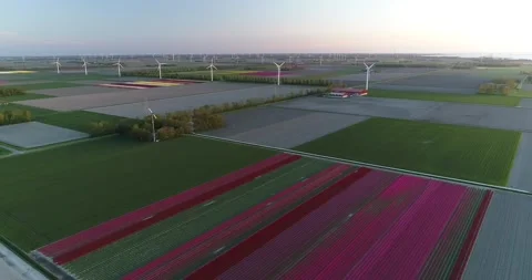 Flevopolder Stock Footage 149197108