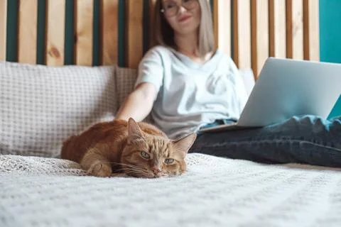 Flexible hours and remote work, Domestic cat lies on the bed, woman using laptop Foto stock