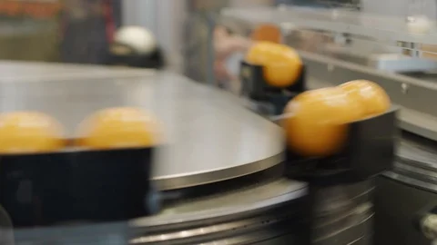 Flexible transport system, balls on high speed conveyor belt Stock Footage 105317493