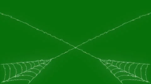 Flexible White Spider Silk Forming Dynamic Pulsing Cobweb Chroma Key 4K Loop Stock Footage 347317632