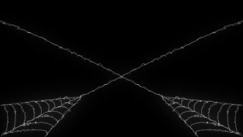 Flexible White Spider Silk Web Formation with Pulsing Lines Dark Canvas 4K 스톡 동영상 347317626