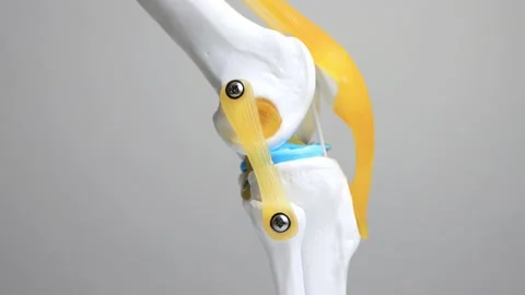 Flexion extension knee joint layout on w... | Stock Video | Pond5