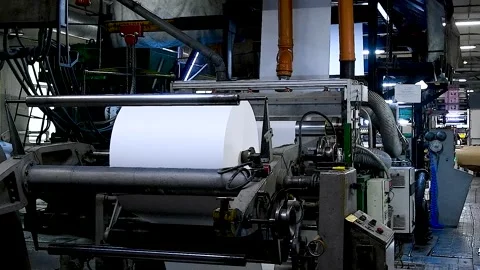 Flexo press for printing label Stock Footage 305988680