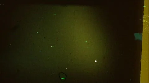 Flicker 16 - HD 1080p Stock Footage