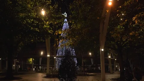 Flickering christmas tree lights in bilbao park Stock Footage 340827531