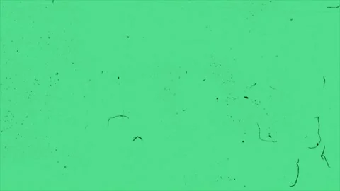 Flickering dust particles on a green bac... | Stock Video | Pond5