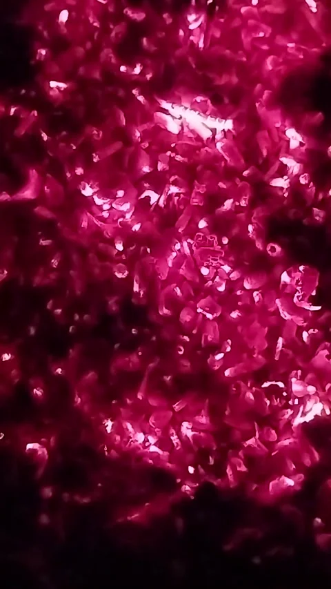Flickering embers Video stock 272820968
