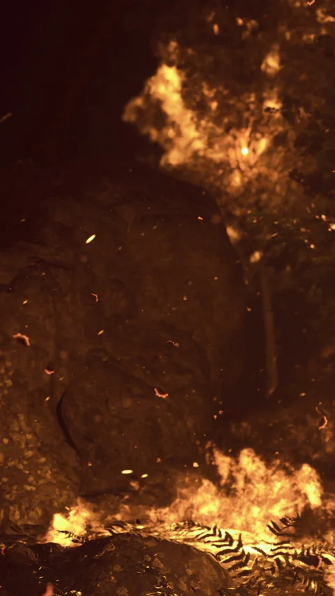 Flickering flames dance around rocks in a wild fires fierce glow Stock Footage 334254973