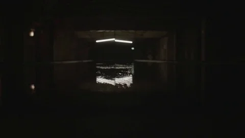 Flickering of Fluorescent Light Vidéo 80619964