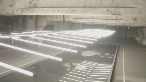 Flickering of Fluorescent Light Vidéo 80620459