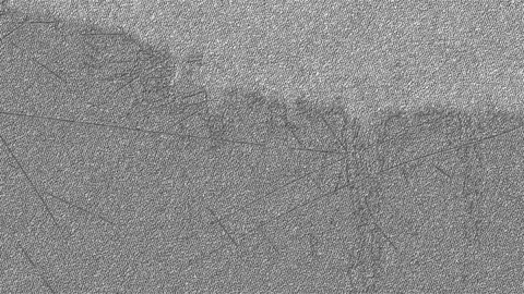 Flickering Greyscale Background 4 Stock Footage 82080040