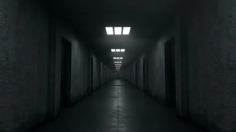 Flickering light in the Abandoned Hallway Stock Footage 337983245