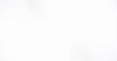 Flickering Light. Abstract Motion. VJ Loop Stock Footage 122368187