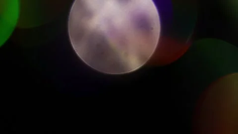 The flickering light of colored bokeh Vidéo 309870894