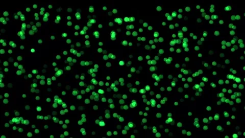 Flickering Lights, 4k abstract animated flickering light Stock Footage 278118200
