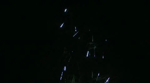 Flickering Lights In A Tree Video stock 10682997