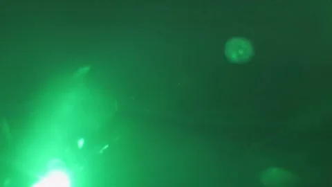 The flickering of multicolored lights. Stock Footage 197499298