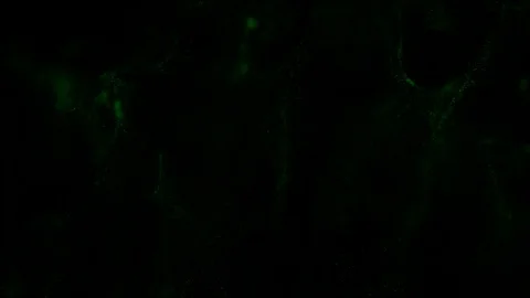 Flickering Particles, random motion of particles.On beatiful relaxing Background Stock Footage 120422251