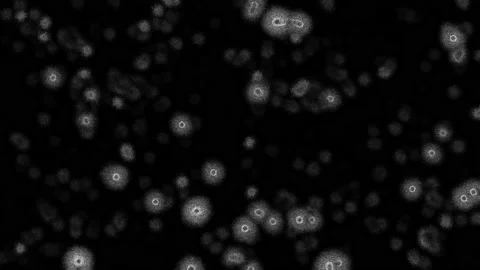 Flickering, Texturized Cell-like Particles Effect Видео 150185807