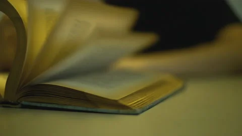 Flickering through the close of old book pages. Turn over sheets an old vintage  Vidéo 168825650