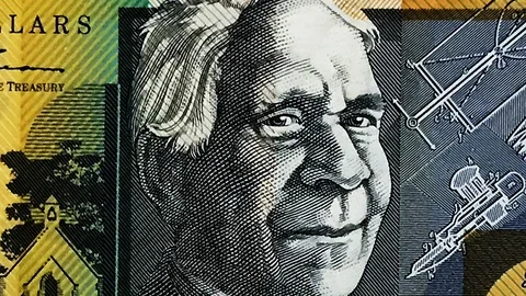 Flicking 30 different banknotes Stock Footage 100411011