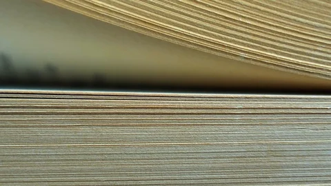 Flicking Through Old Book Pages Close-up Video stock 119451190