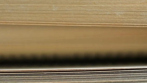Flicking Through Old Book Pages Close-up 스톡 동영상 119451298