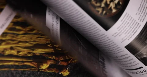 Flicking Through Old Book Pages Close-up Stock Footage 260410050