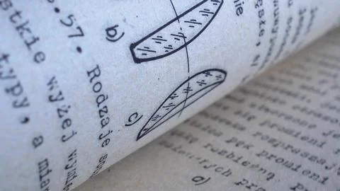 Flicking Through Old Typescript Technical Book Pages Close-up Stock Photos