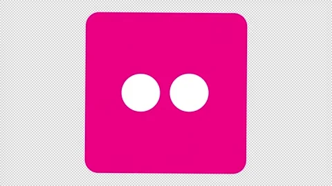 Flickr Icon Stock Footage 205063932