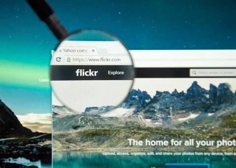 Flickr web page Photos
