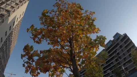 Flieger Video stock 117783092