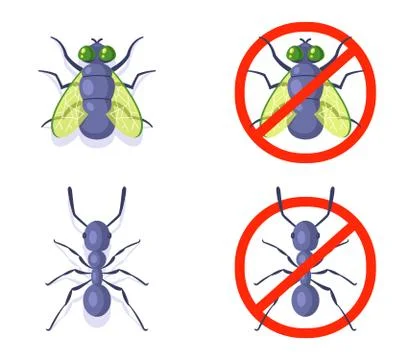 Flies and ant on a white background. fight against domestic insects. Illustration