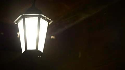 Flies and the night lantern Stock Footage 99399291