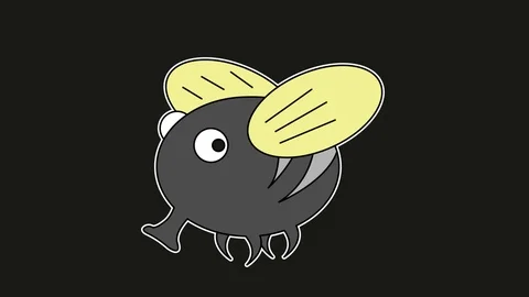 Flies animation black screen. 2D flat simple motion Stock Footage 116076431