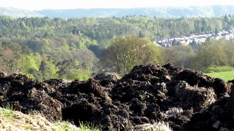 Flies buzzing around a massive dungheap in rural Germany. Forest, field, suburb Stock Footage 76773260