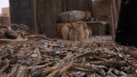 Flies buzzing off bowl of dried fish shot at 250 fps slow motion Stock Footage 76935913