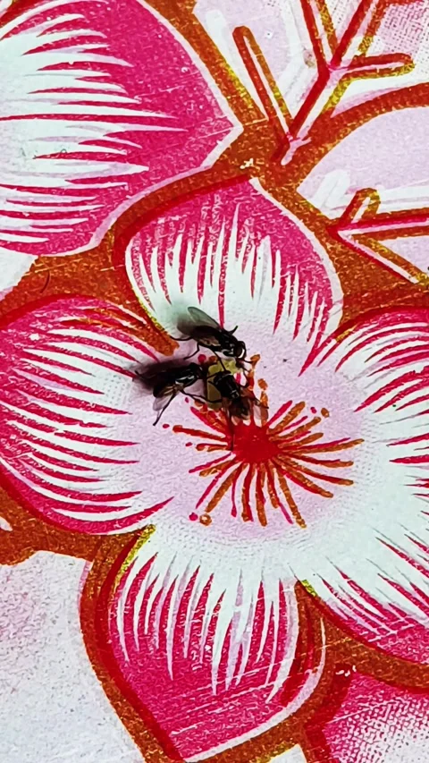 Flies colony Stock Footage 300354752