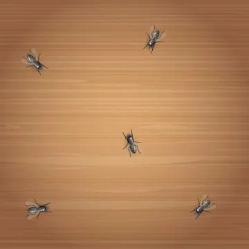 Flies on a desktop Stock Illustration