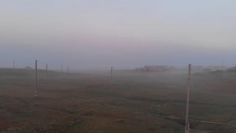 Flies in the fog Stockbeeldmateriaal 100998819