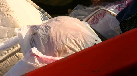 Flies on garbage in dumpster HD Stockbeeldmateriaal 426082