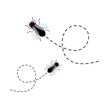 Flies icon set. Fly insect flying on a dotted route Stock Illustration