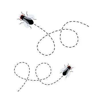 Flies icon set. Fly insect flying on a dotted route Stock Illustration
